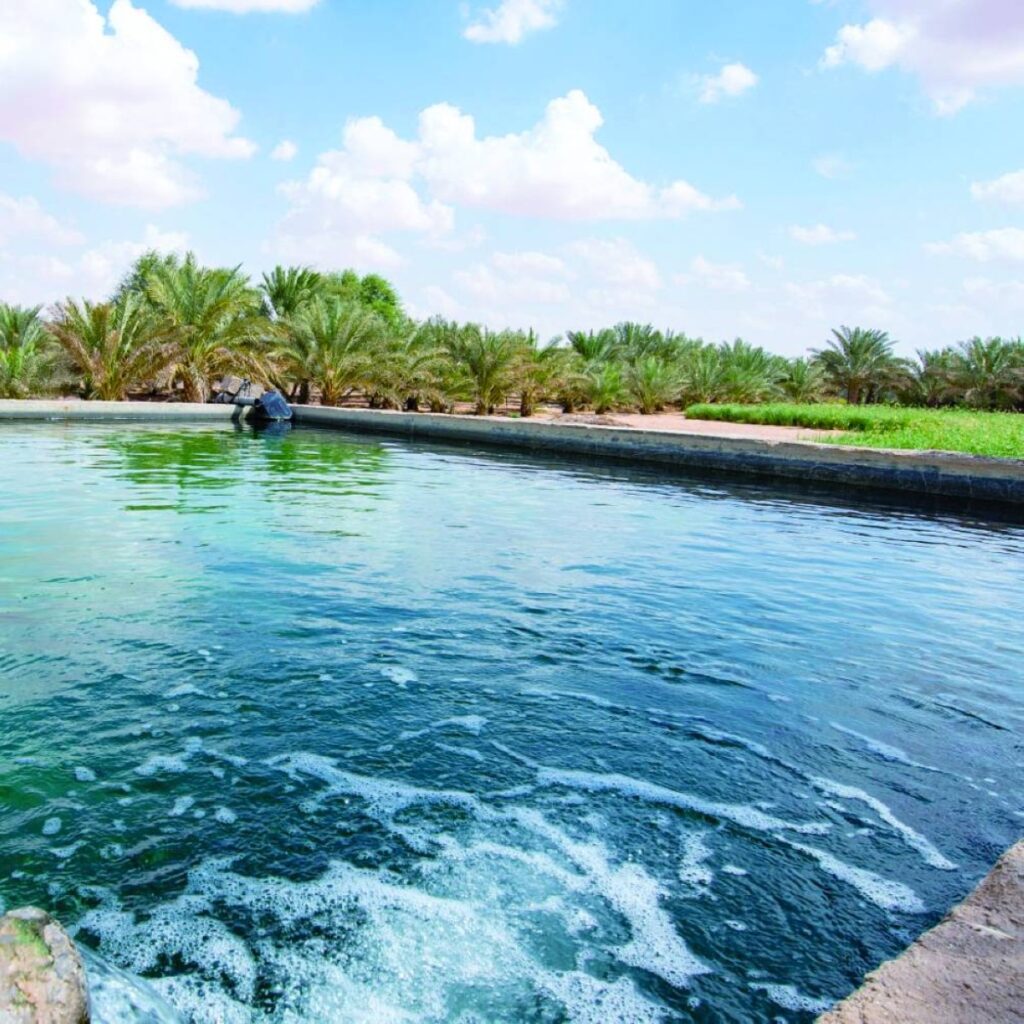 Al Bayan