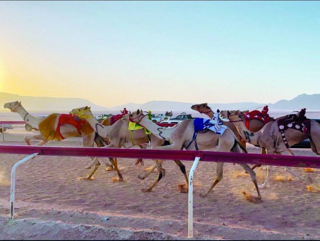 Al Bayan