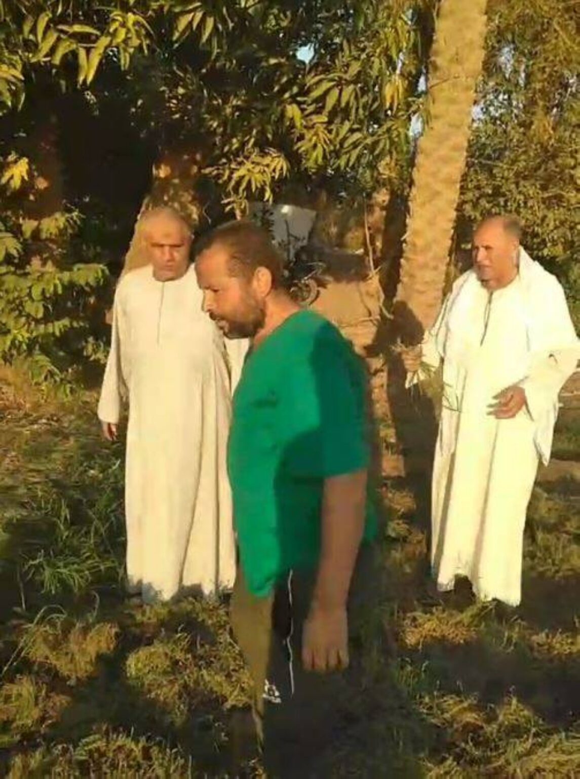 Al Bayan