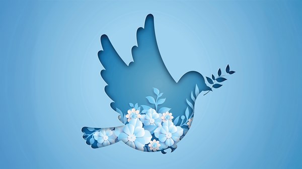 السلام يضيء مرايا الفن التشكيلي العربي السلام يضيء مرايا الفن التشكيلي العربي