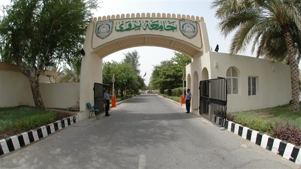 وظيفة جامعة