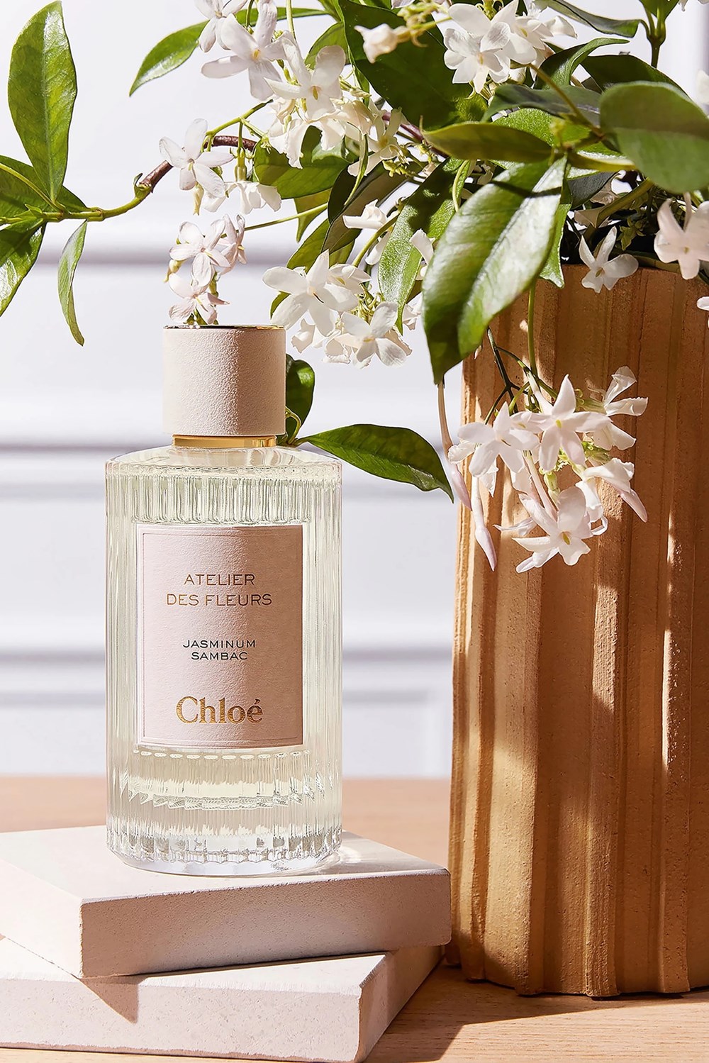 عطور الياسمين الأفضل في ليالي الصيف المُبهجة