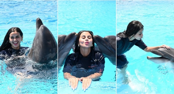 منة عرفة تلعب مع الدلافين في الساحل الشمالي | ألبوم منة عرفة