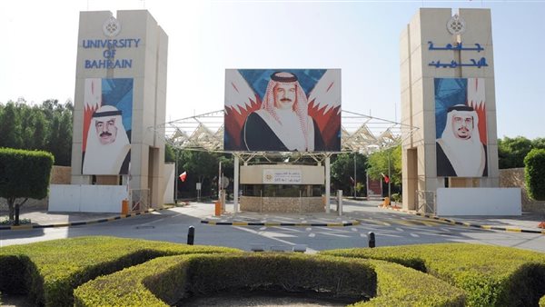 وظيفة جامعة