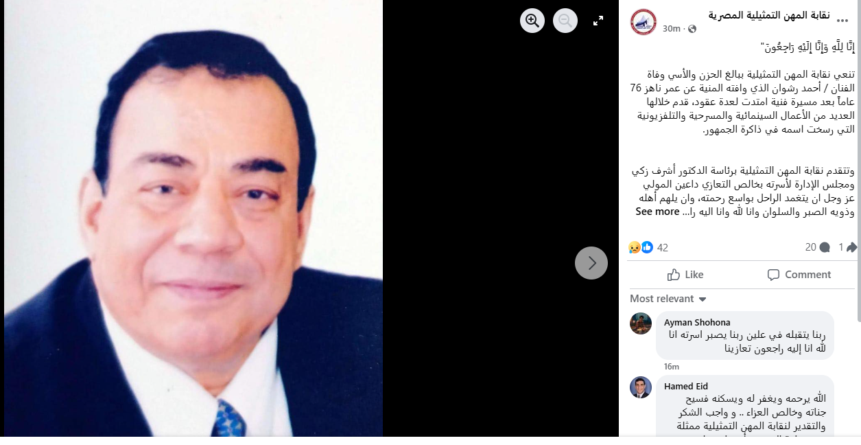 نقابة المهن التمثيلية على فيس بوك