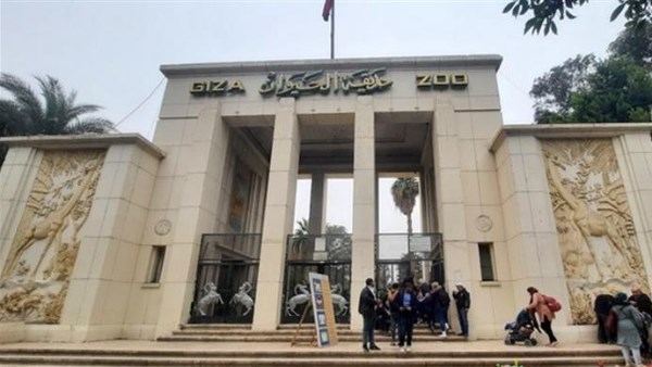 موعد افتتاح حديقة الحيوان بالجيزة 2025 بعد التطوير.. وحقيقة وصول سعر التذكرة 400 جنيه