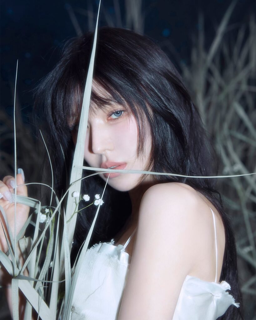 ويندي ويندي