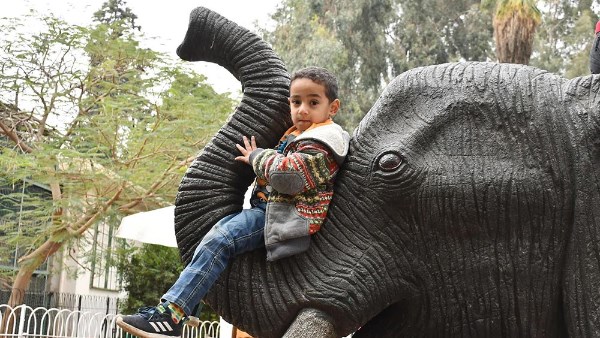 في متناول الجميع.. كم سعر تذكرة حديقة الحيوان 2025؟