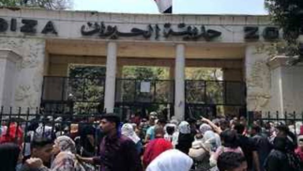 حقيقة سعر التذكرة بعد التطوير .. موعد افتتاح حديقة الحيوان