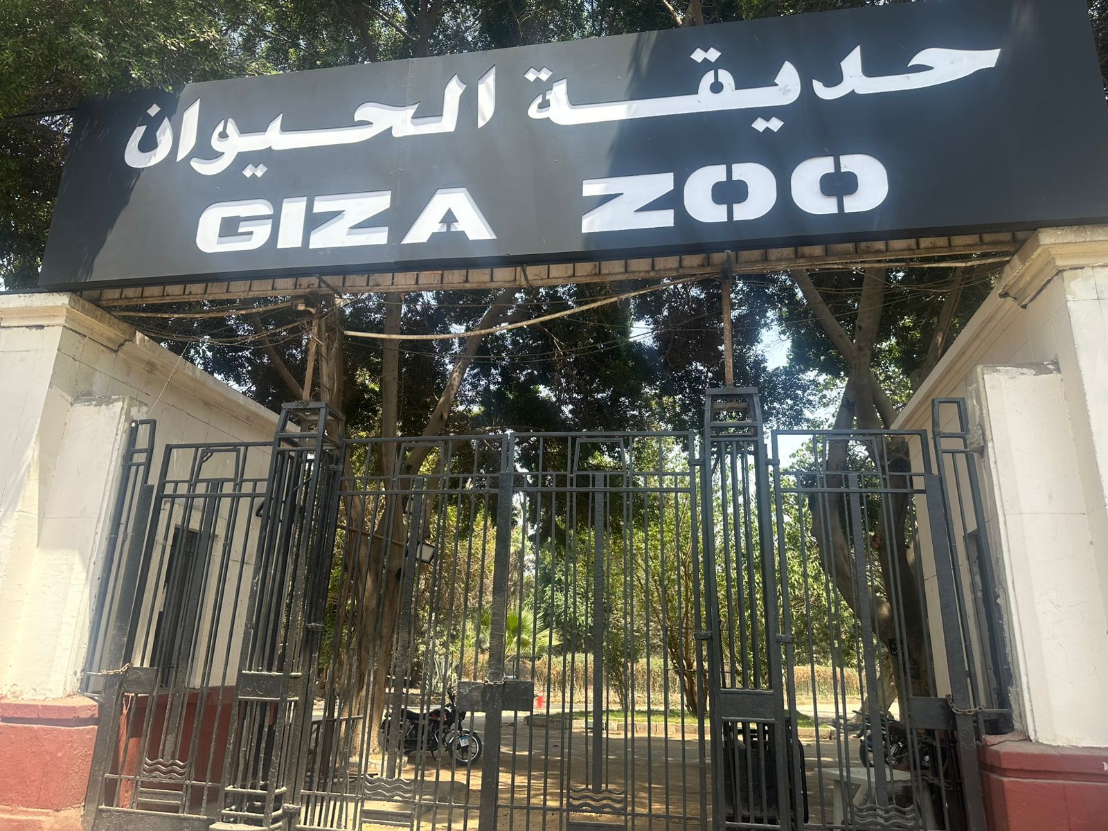 أحدث أعمال التطوير داخل حديقة الحيوان بالجيزة قبل الافتتاح | شاهد