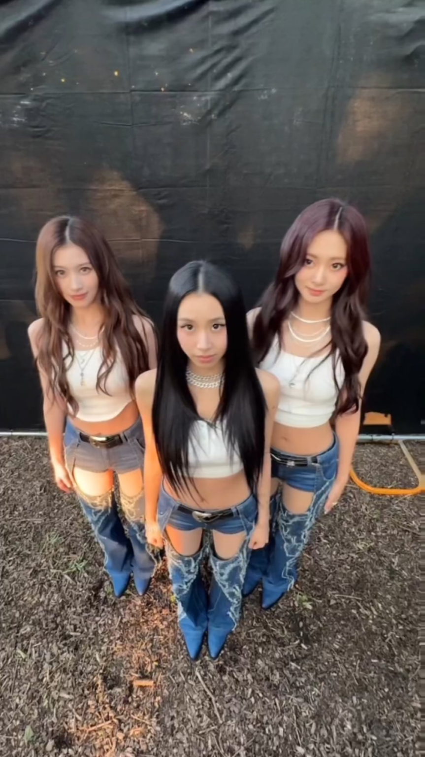 250805 Twitter Update - Barabam #Lolla Edition 🐹🐯🦌