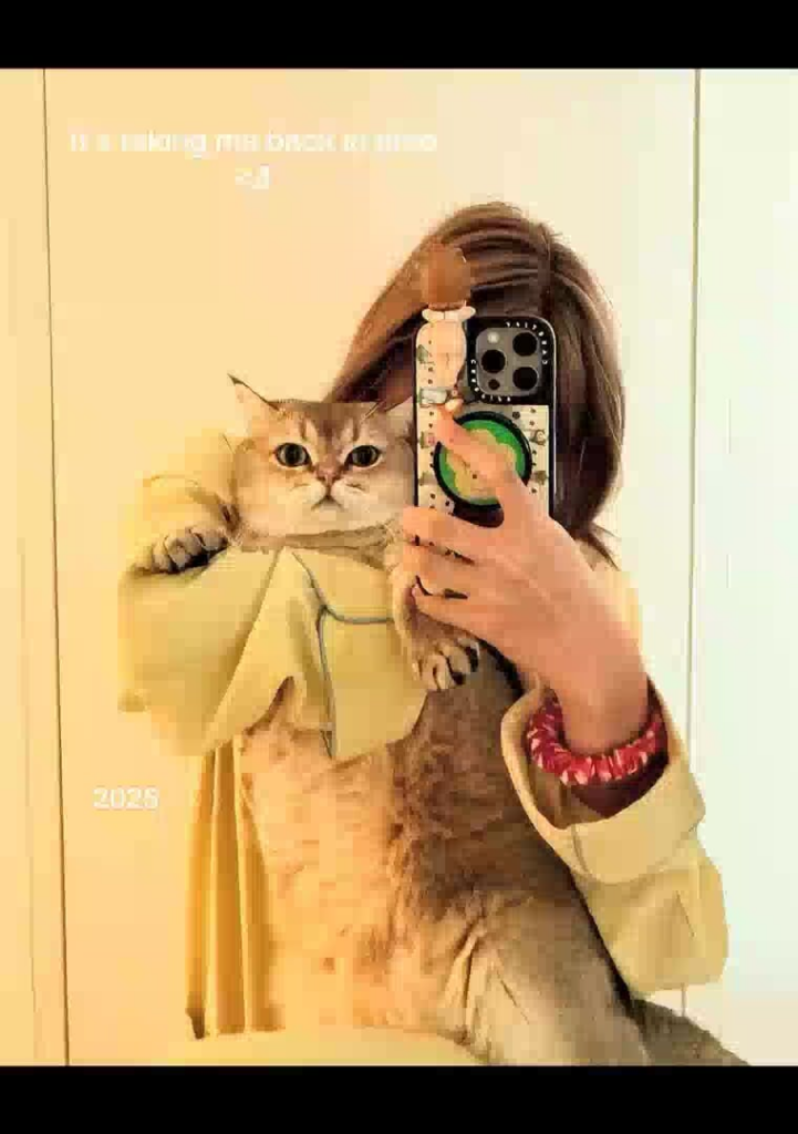 250818 تحديث ليزا تيخوك