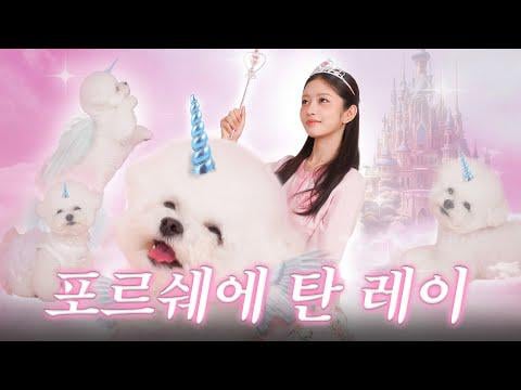 250814 Rei - REI's Puppy Porsche YouTube لاول مرة! الذهاب في موعد طوال اليوم في يوم إجازتي @ متابعة rei