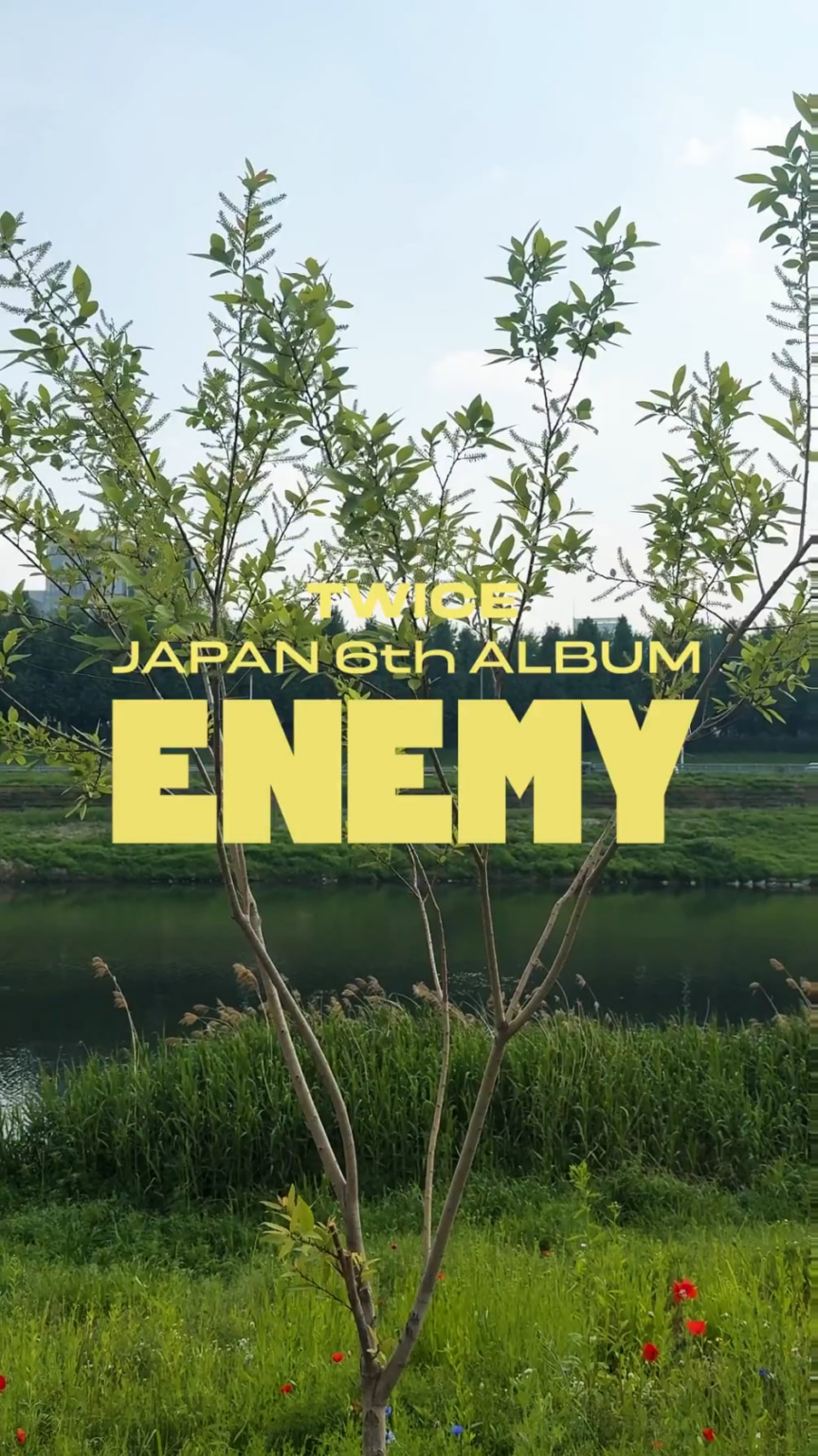 250822 Japan Twitter Update - مرتين اليابان 6 ألبوم 『العدو』 2025.08.27 هدية الإفراج لمرة واحدة من #Momo 💝