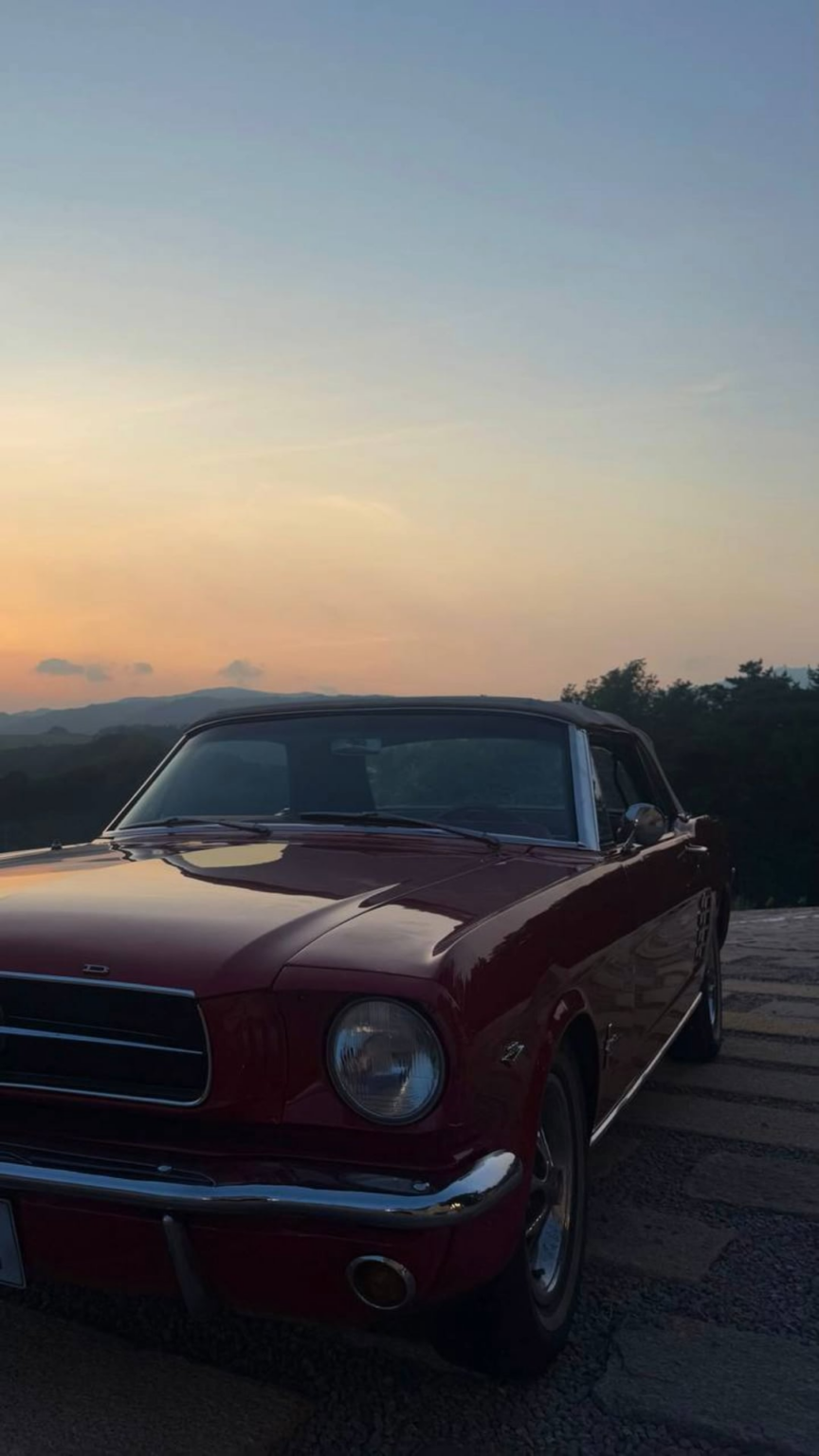 250801 تحديث قصة ليزا IG