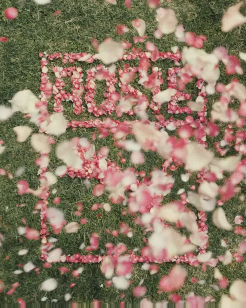 250826 تحديث Elle Korea IG مع Rosé