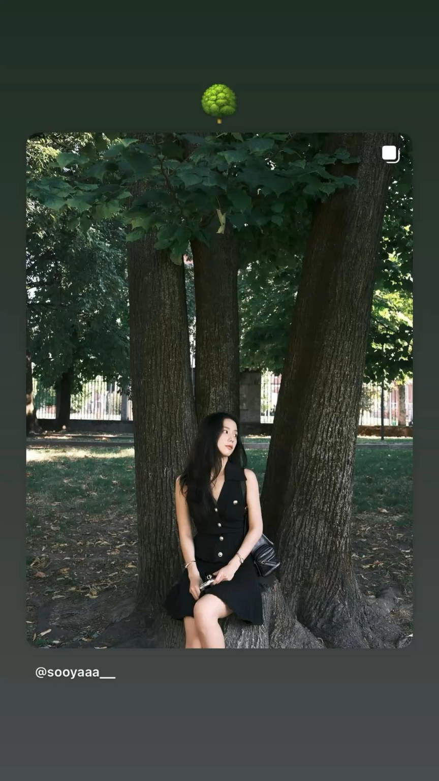 250809 تحديث قصة JISOO IG