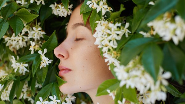 عطور الياسمين الأفضل في ليالي الصيف المُبهجة عطور الياسمين الأفضل في ليالي الصيف المُبهجة