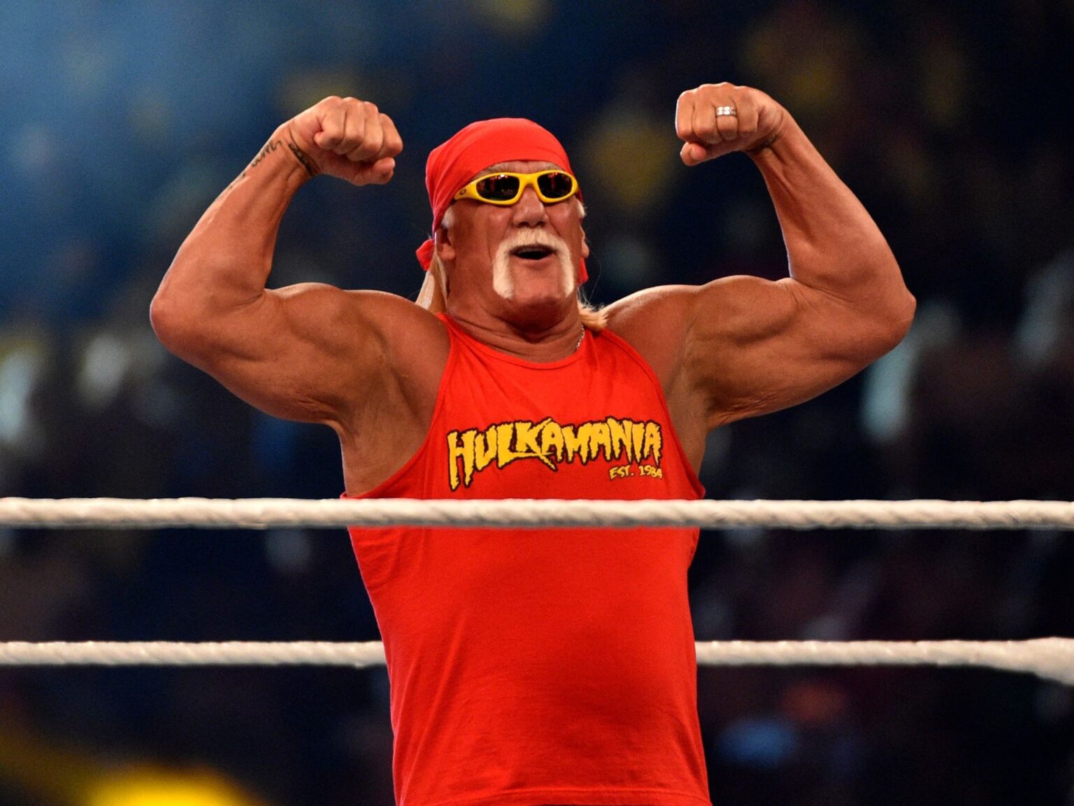 تشريح جثة المصارع هالك هوجان يكشف الأسباب الحقيقية لوفاته | رياضة تشريح جثة المصارع هالك هوجان يكشف الأسباب الحقيقية لوفاته | رياضة