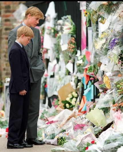 الأمير ويليام وشقيقه الأمير هاري (pinterest)