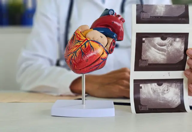 طبيب يحمل صوراً للقلب
