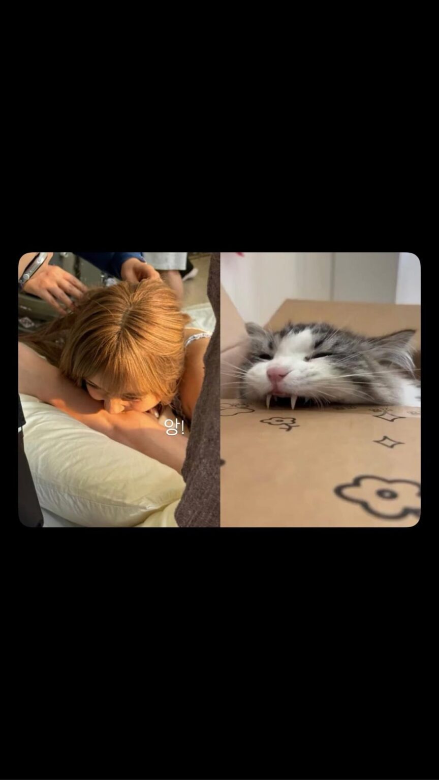 250807 تحديث قصة ليزا IG