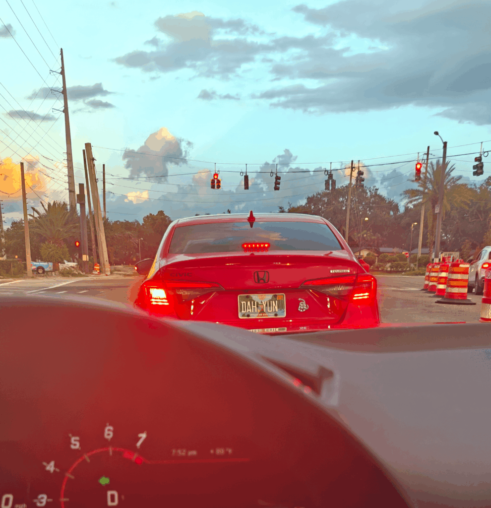 رصدت ألف في فلوريدا ..