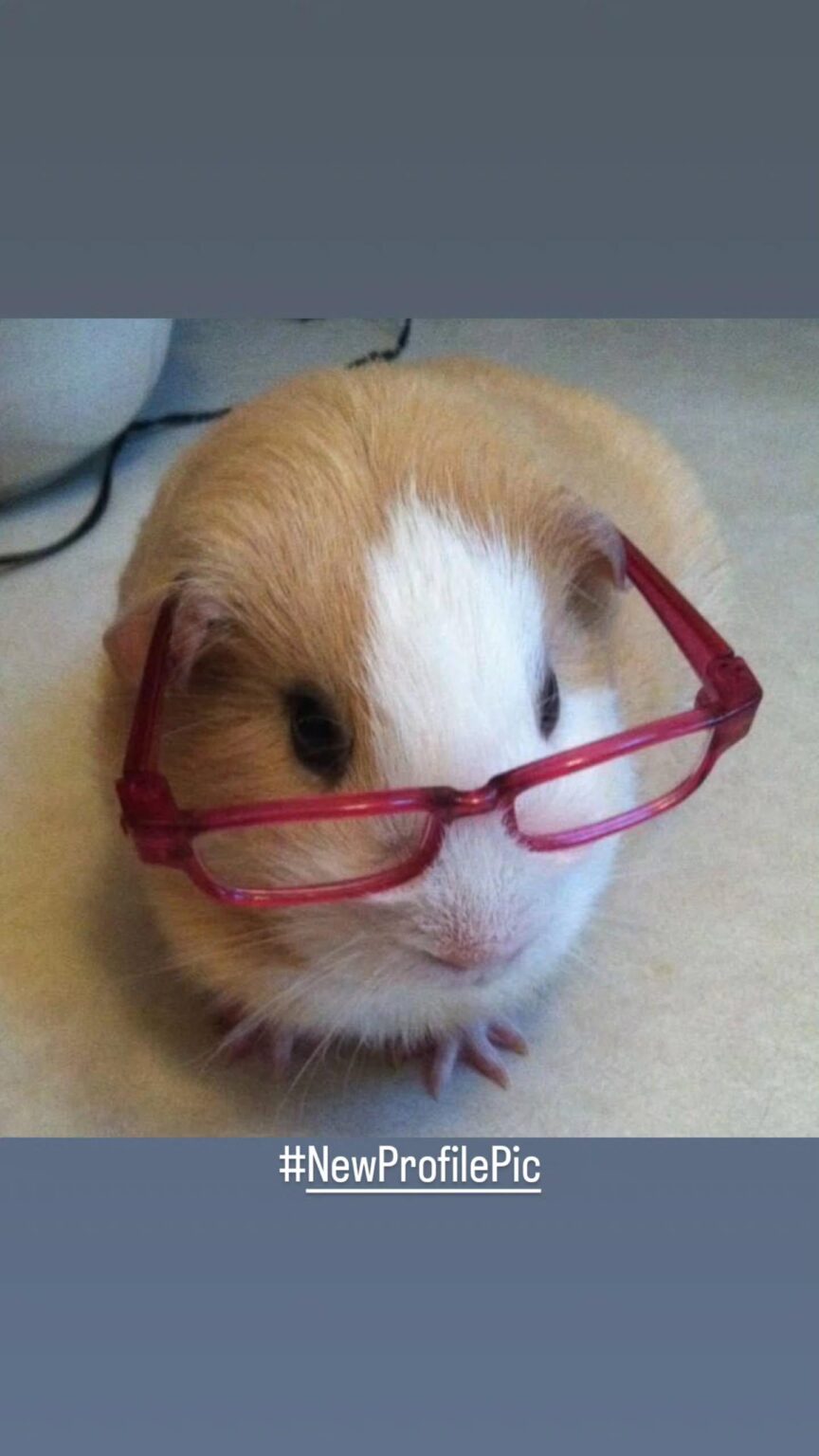 250901 تحديث قصة Huh Yunjin Instagram