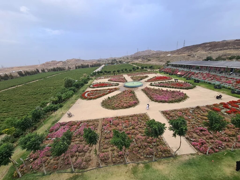 استقبلت مليون زائر خلال عشر سنوات.. "سفراء الزراعة" يزورون أكبر مزرعة ورد في أبها – صحيفة سبق الالكترونية استقبلت مليون زائر خلال عشر سنوات.. "سفراء الزراعة" يزورون أكبر مزرعة ورد في أبها - صحيفة سبق الالكترونية