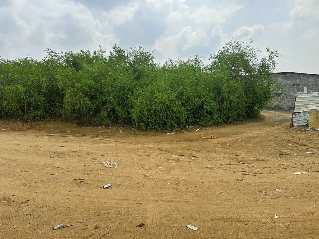 الشؤون الإسلامية تكشف اختلاس كهرباء مسجد بمنطقة جازان من أحد المقيمين لتشغيل منزله بالكامل، وتزيله فورًا وترفع القضية للجهات المختصة