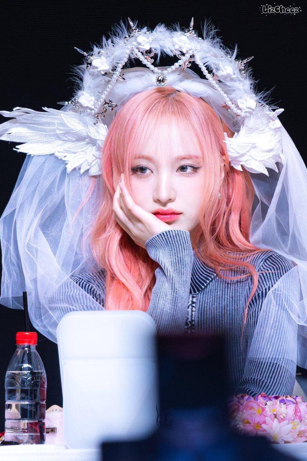 250320 Liz Fansite Update