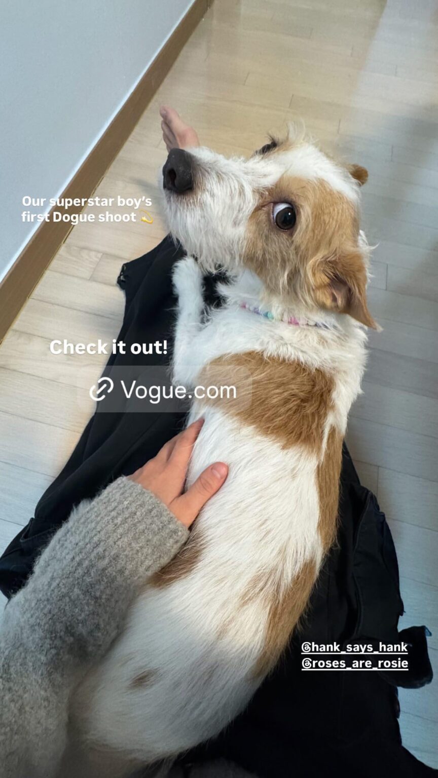 250819 تحديث قصة أليس إيج مع هانك