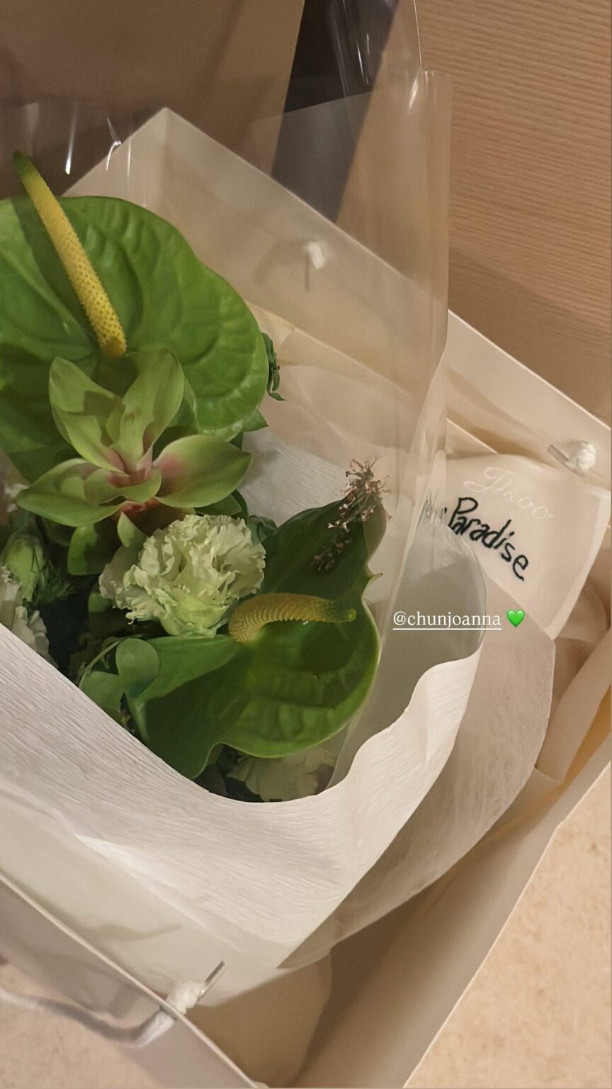 250827 تحديث قصة JISOO IG