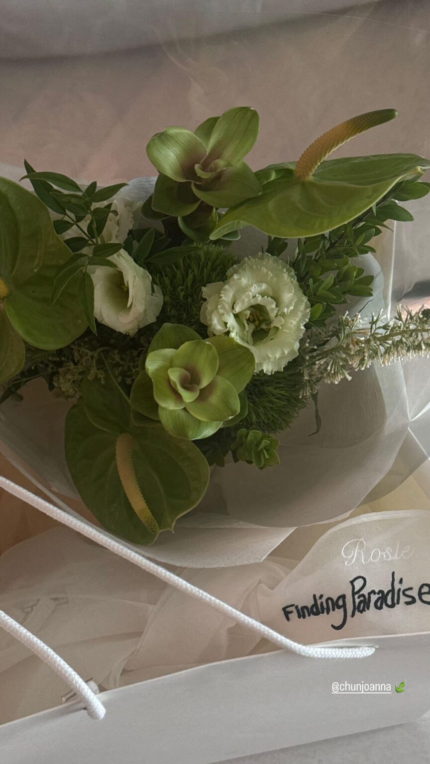 250826 تحديث قصة Rosé IG