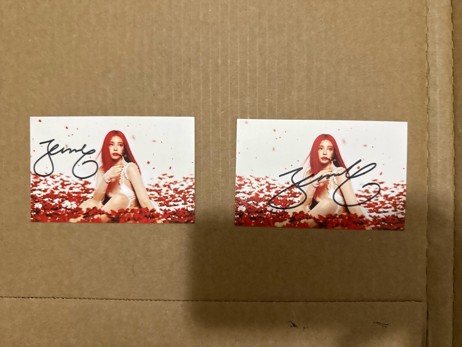 20250824 وقعت جيني روبي فينيل ، الطيار الآلي؟