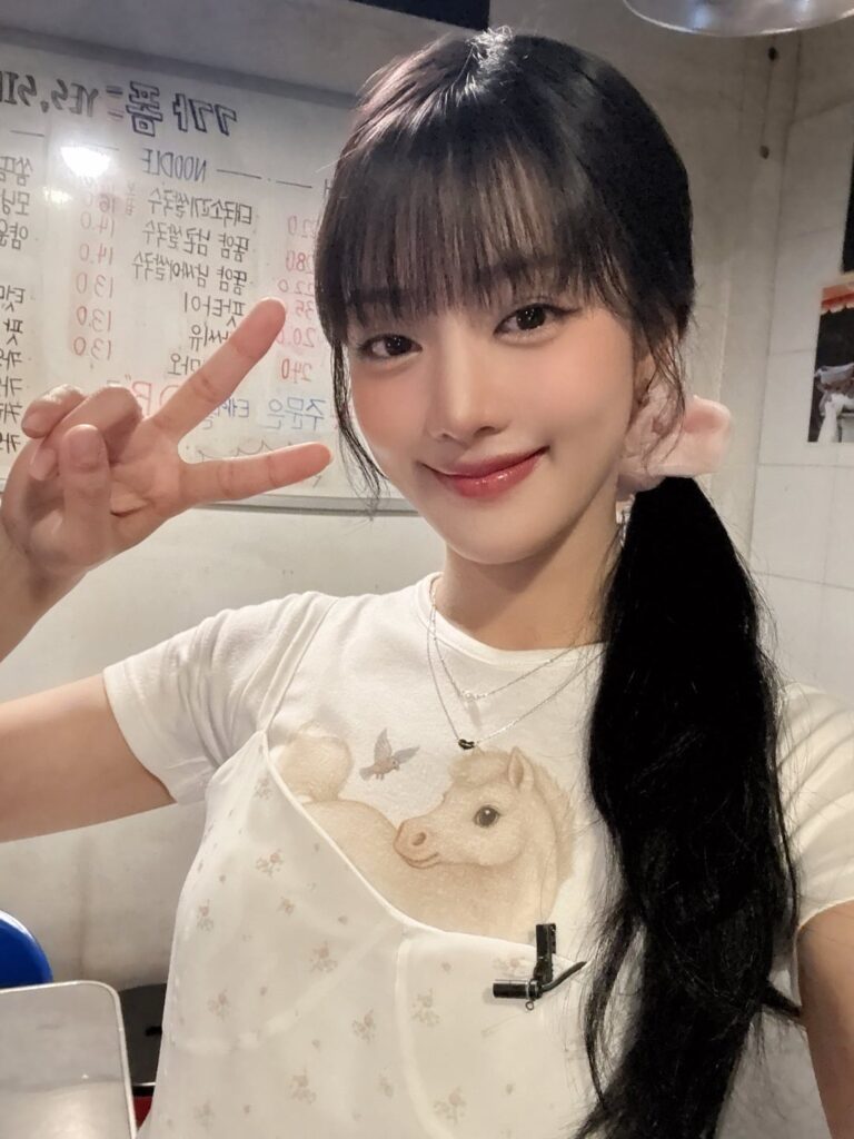 250821 التحديث الرسمي - ميني على Workdol