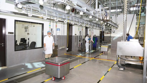 142 ألف معاملة رقمية أنجزتها بلدية العين 142 ألف معاملة رقمية أنجزتها بلدية العين