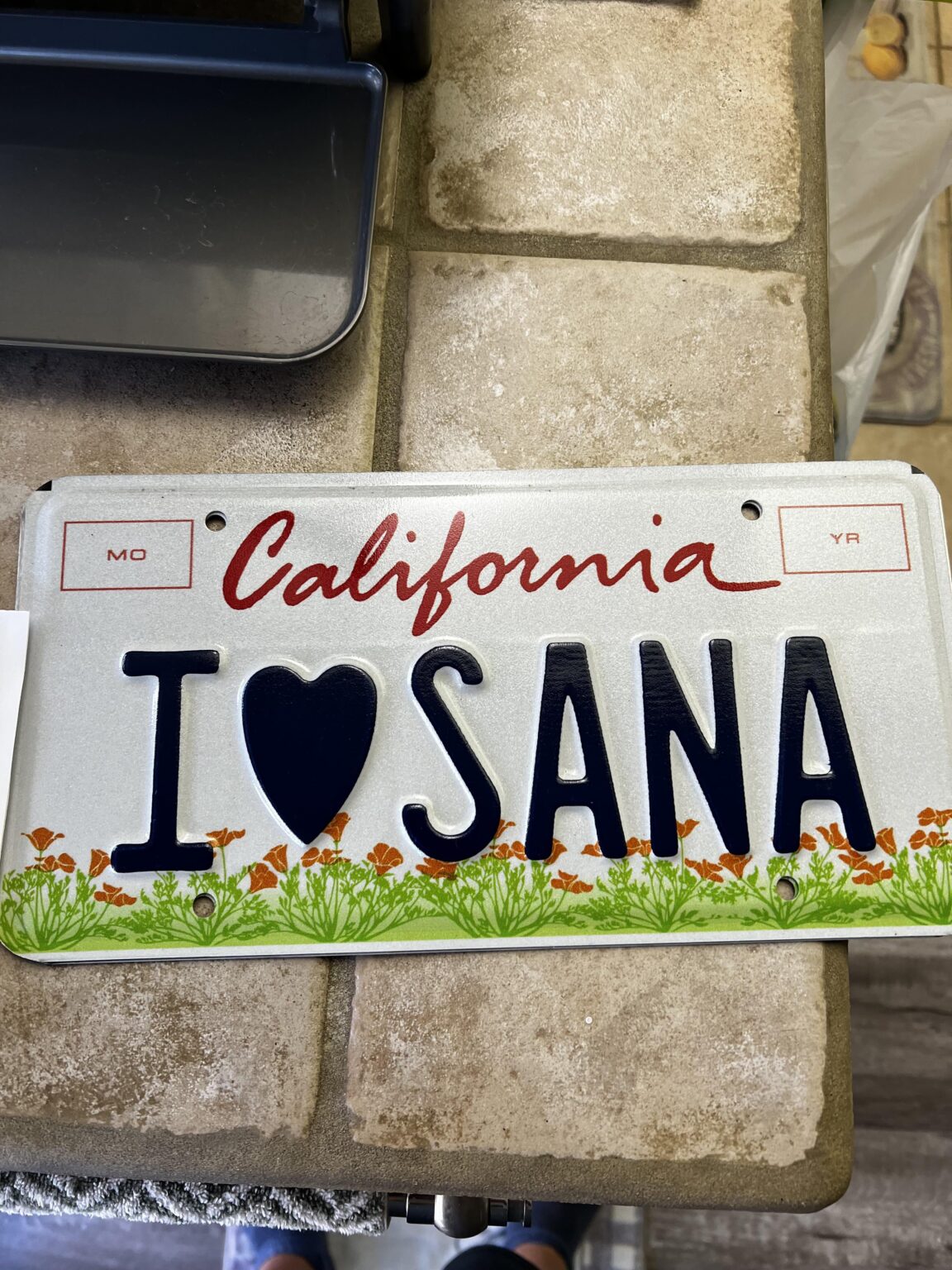 لوحة ترخيصي الجديدة! I❤sana