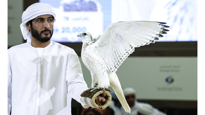 «الصيد والفروسية» يختتم دورة استثنائية استقطبت 379 ألف زائر