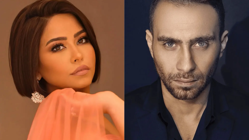 حُسام حبيب ينفي عودته لشيرين: 'لا أعرف عنها شيئًا..' - mosaiquefm.net