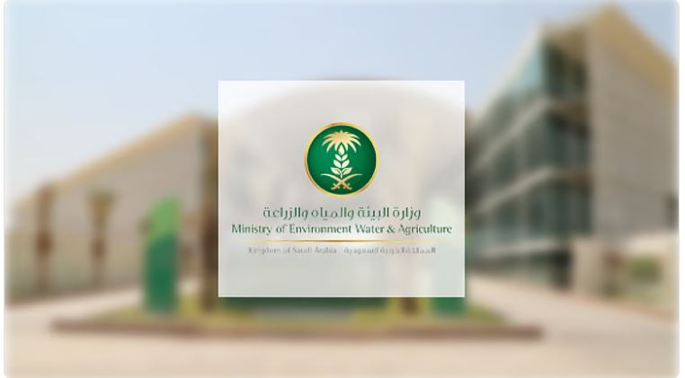 من اليوم.. السعودية تبدأ تطبيق قرار يغير اشتراطات بيع الخضار والفواكه في محلات الخضار والسوبر ماركت