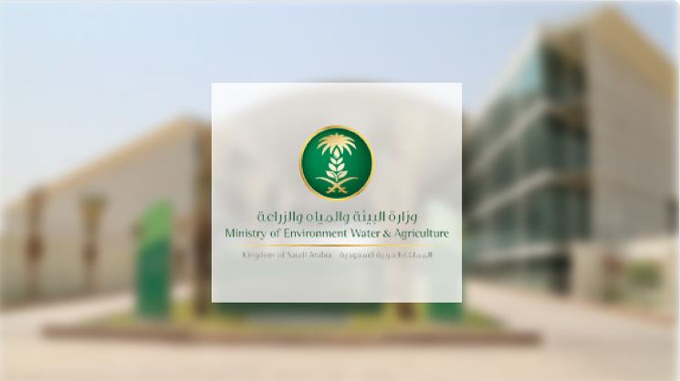 السعودية تستعد لاطلاق مشروع غير مسبوق ينهي مشاكل السيول في جدة أثناء موسم الأمطار