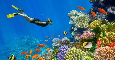 شرم الشيخ ضمن أجمل 20 وجهة سياحية عالمية وفق تصنيف التايمز شرم الشيخ ضمن أجمل 20 وجهة سياحية عالمية وفق تصنيف التايمز