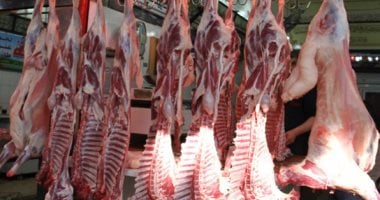 تخفيضات على اللحوم والدواجن فى معرض أهلاً مدارس 2025 بالجيزة