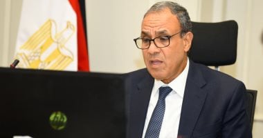 وزير الخارجية: مؤامرات وتحديات وجودية تحيط بمصر.. وفلسطين قضيتنا الأولى