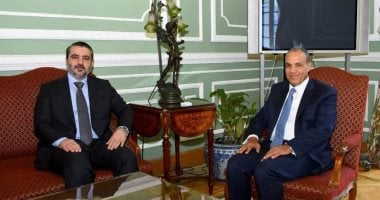 وزير الخارجية يؤكد لنظيره السورى أهمية التوصل لتسوية سياسية شاملة