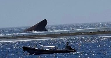 غرقت من 10 شهور.. ظهور حطام سفينة على أحد شواطئ القصير.. صور حطام السفينة الغراقة