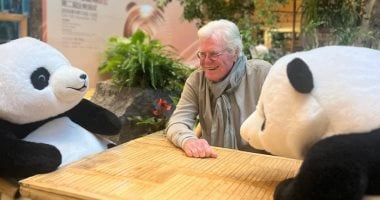 حسين فهمى يمازح جمهوره بمناقشة فنية مع زوج من الباندا بمهرجان شينجدو