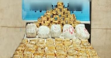 على طريقة فيلم المصلحة.. ضبط مزرعة مخدرات بقيمة 1.6 مليار جنيه بالإسماعيلية