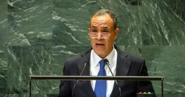 وزير الخارجية: مستعدون للاحتكام للقضاء بشأن سد النهضة ولن نتهاون في حقوقنا